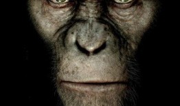 猩球崛起免费在线观看,免费在线观影之旅